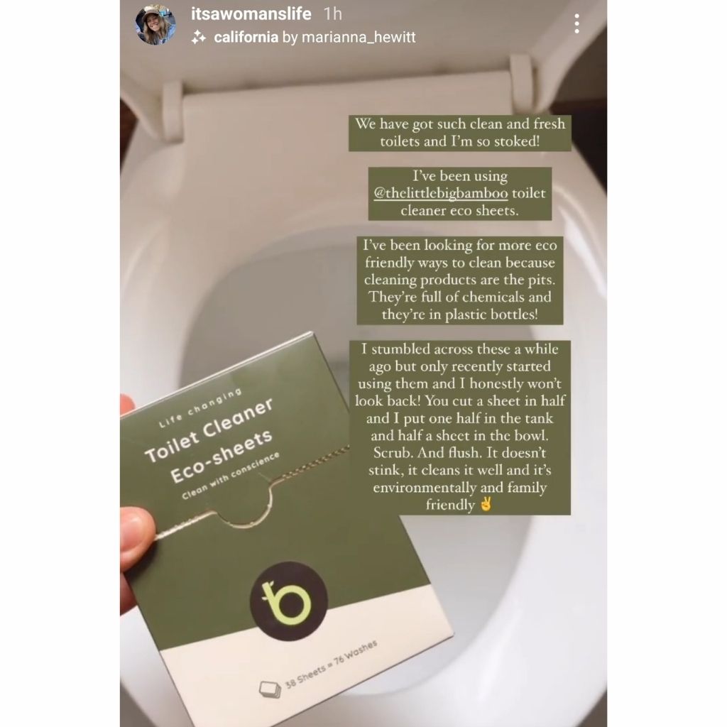 Toilet Cleaner sheets (Long Lasting)