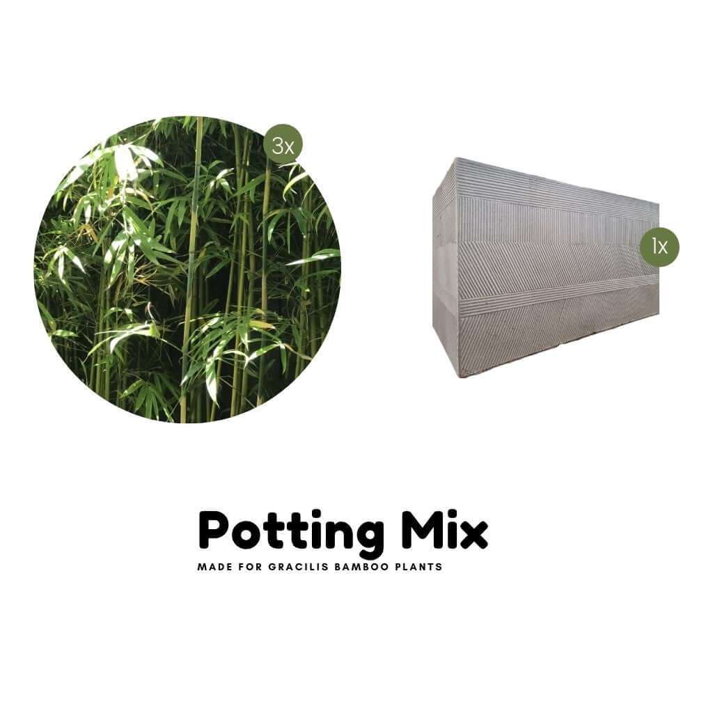 Planter Box Kit | Raised Garden Kits | Thelittlebigbamboo