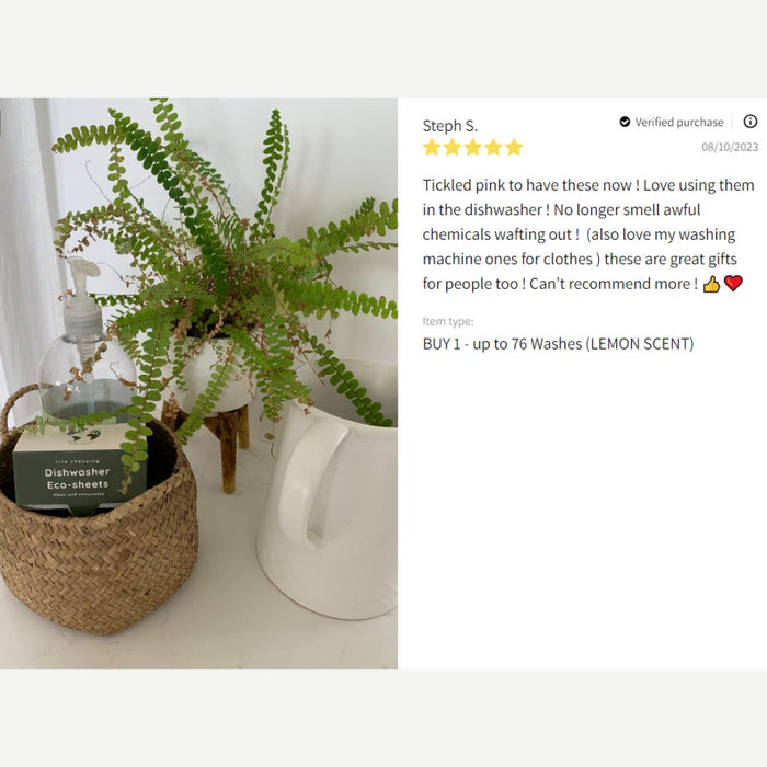 Dishwashing Eco-sheets™