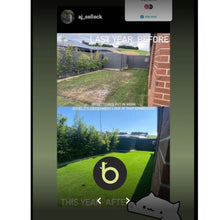 Load image into Gallery viewer, Gracilis Bamboo Plants | Gracilis Bamboo for Sale | Thelittlebigbamboo
