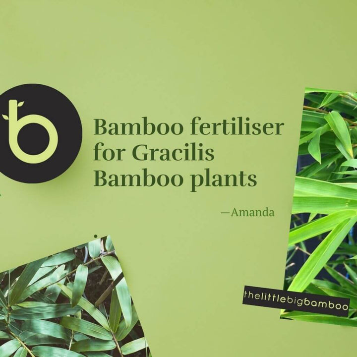 Bamboo Fertiliser