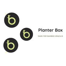Load image into Gallery viewer, Bamboo Planter Box | Garden Planter Boxes | Thelittlebigbamboo
