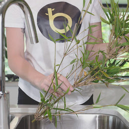 Reusable Bamboo Straws | Bamboo Straws Australia | thelittlebigbamboo